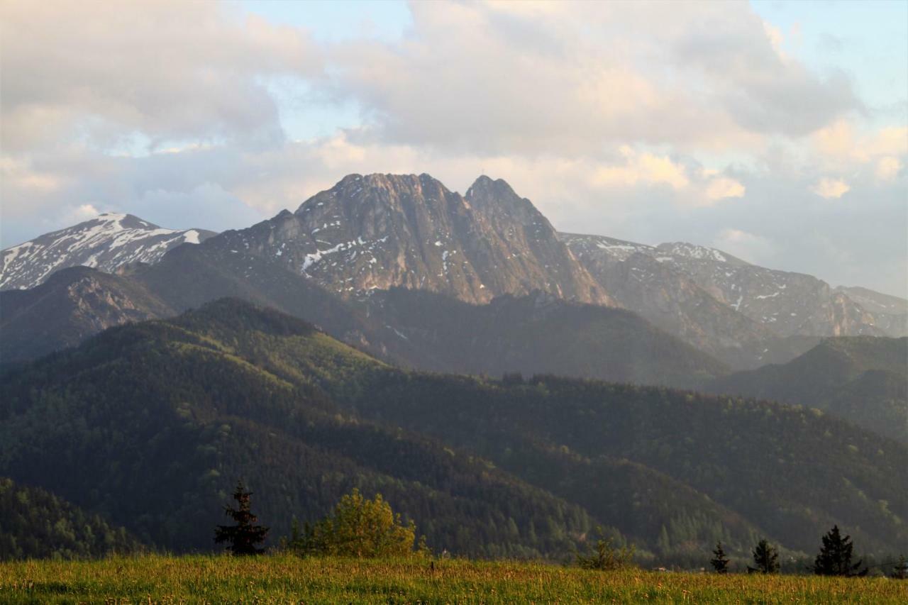 Willa U Stachoniow Zakopane Bagian luar foto